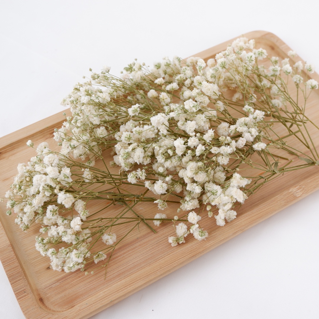 Home Decor Vase With Flowers - Dried Flowers White Mini Dried Babys
