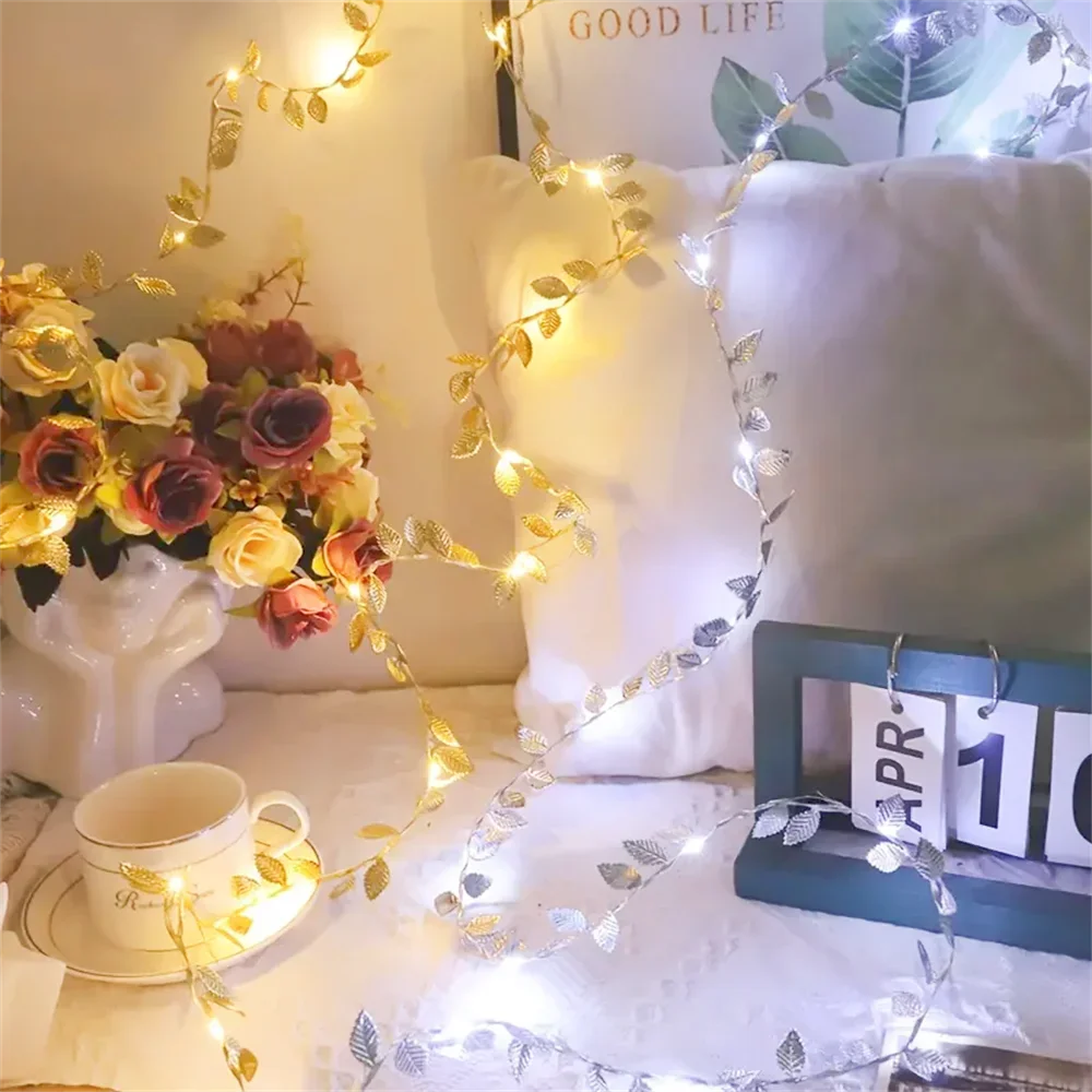 20/50/100LEDs Golden Silver Ti - Rope Light Decoration ulasan dan harga