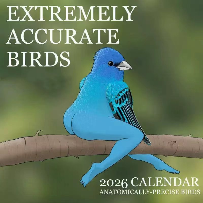CALENDAR OF EXTREMELY ACCURATE - Home Decor Xmas Gifts ulasan dan harga