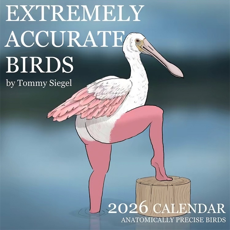 CALENDAR OF EXTREMELY ACCURATE - Home Decor Xmas Gifts ulasan dan harga