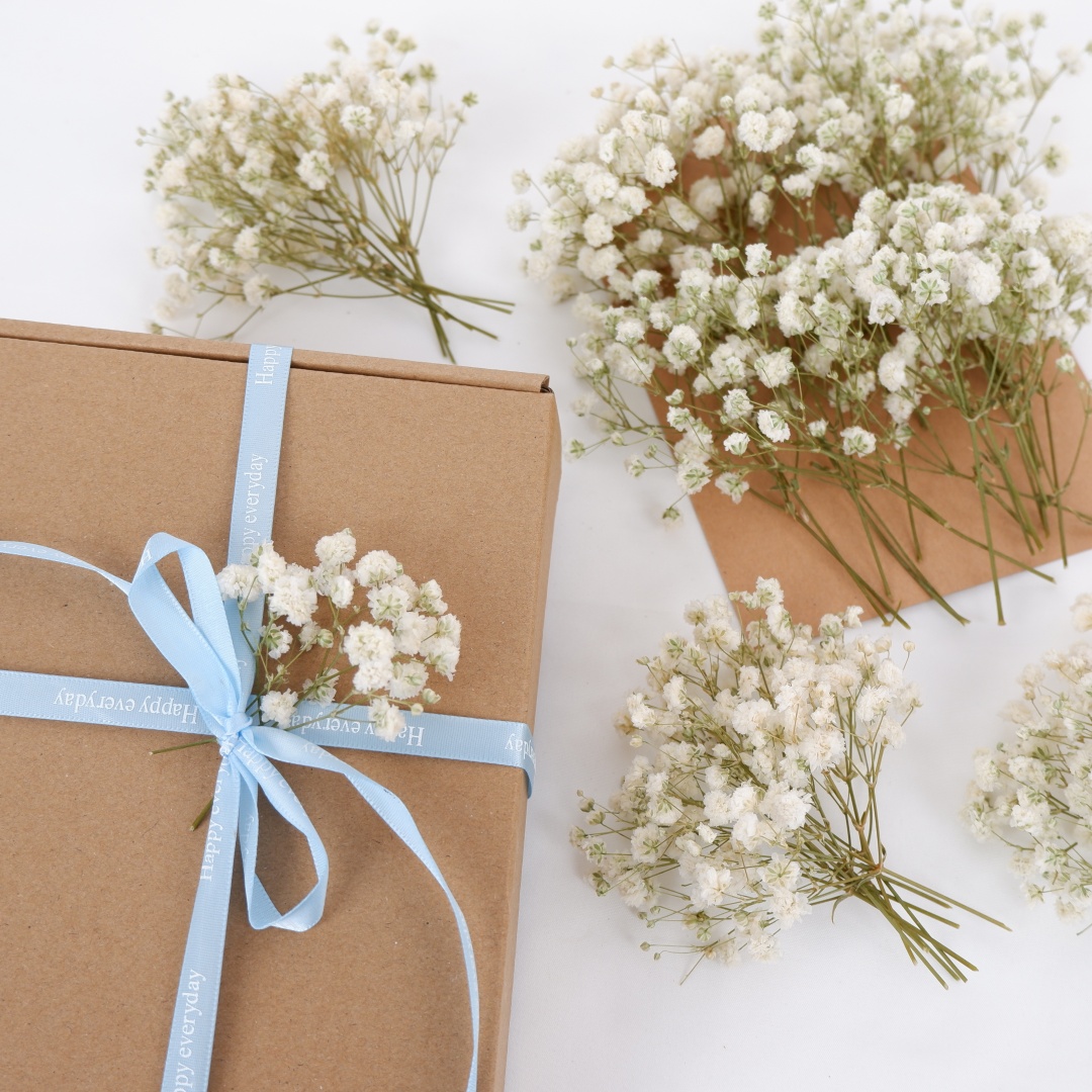 Dried Flowers White Mini Dried - Home Decor Vase With Flowers ulasan dan harga