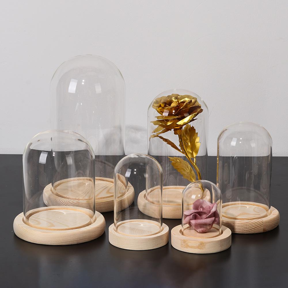 Home Decor Plants Jar Terrariu - Home Decor Vase With Flowers ulasan dan harga