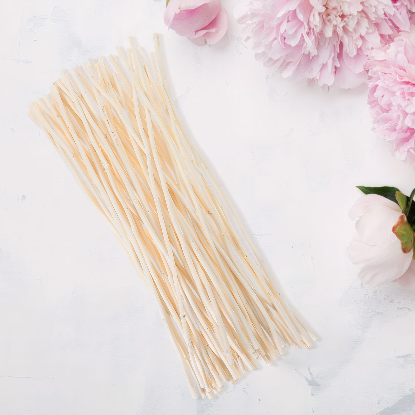 50Pcs Dragon Willow Sticks Dri - Home Decor Vase With Flowers ulasan dan harga