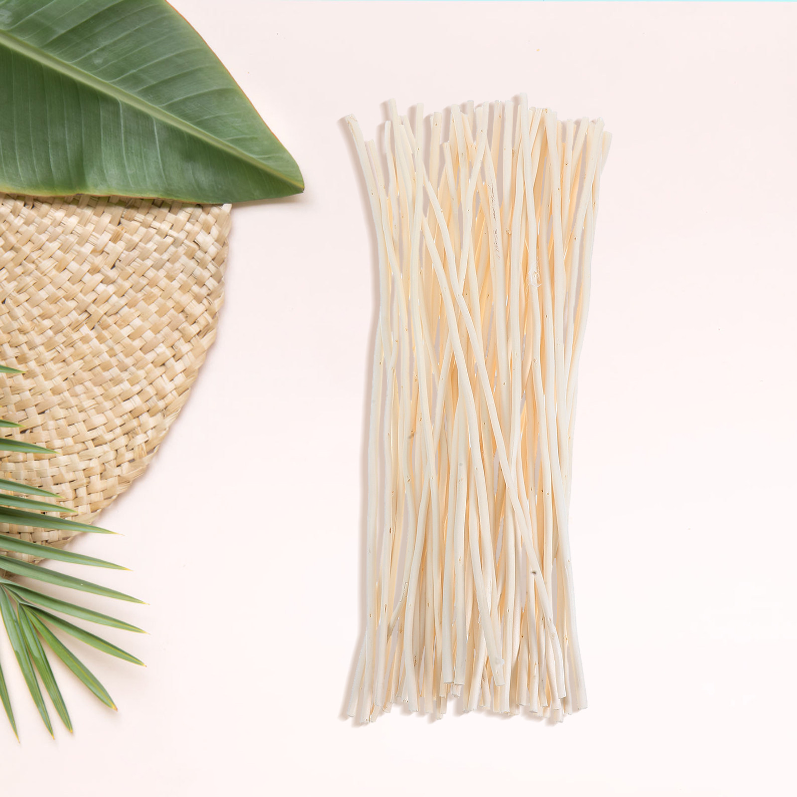 50Pcs Dragon Willow Sticks Dri - Home Decor Vase With Flowers ulasan dan harga