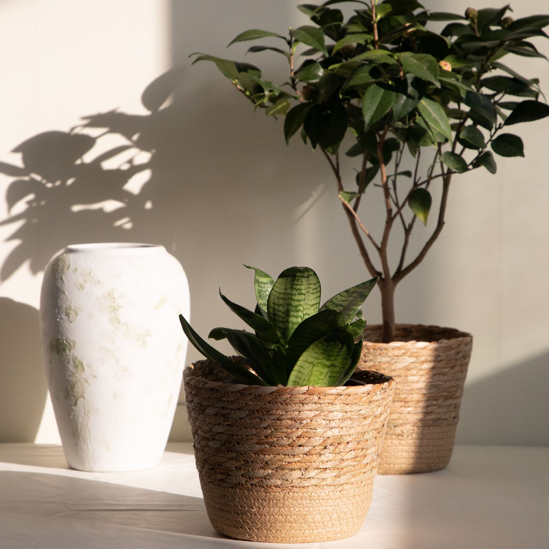 Multi-purpose Woven Storage Ba - Rattan Plant Basket ulasan dan harga