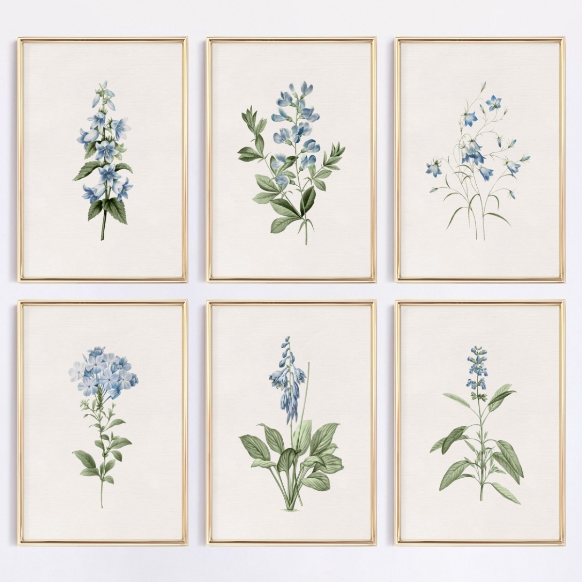 1pcs Blue Wildflower Botanical - Home Decor Minimal ulasan dan harga