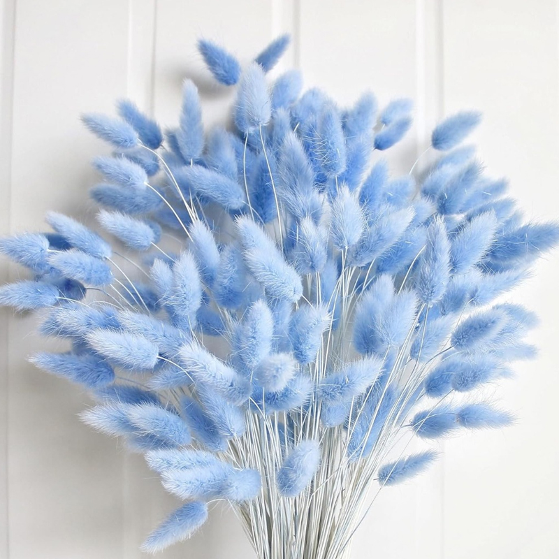 100PCS Blue Hare's-tail Grass  - Home Decor Vase With Flowers ulasan dan harga