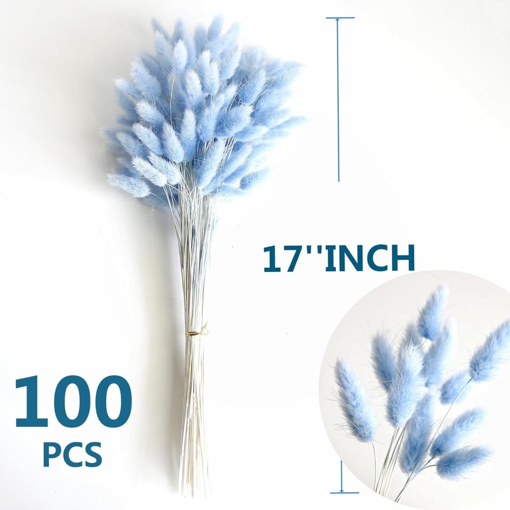 100PCS Blue Hare's-tail Grass  - Home Decor Vase With Flowers ulasan dan harga