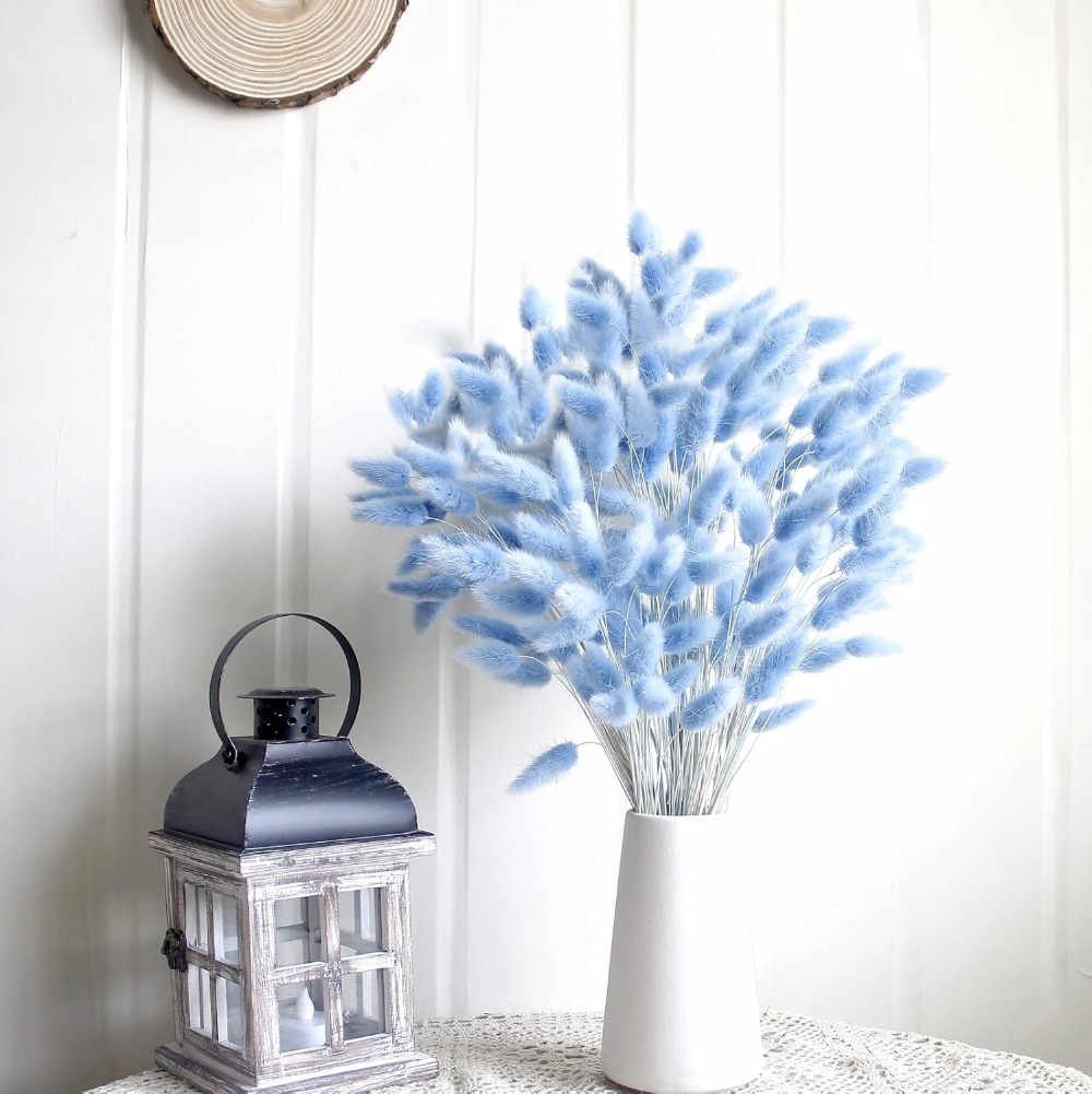 100PCS Blue Hare's-tail Grass  - Home Decor Vase With Flowers ulasan dan harga