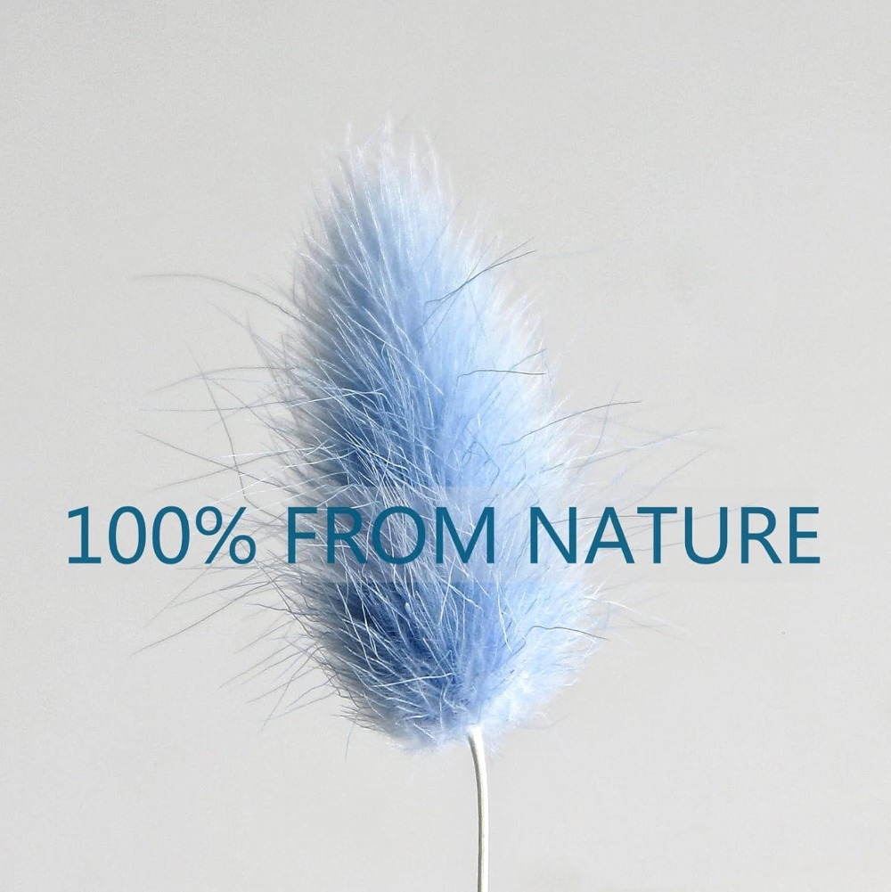 100PCS Blue Hare's-tail Grass  - Home Decor Vase With Flowers ulasan dan harga
